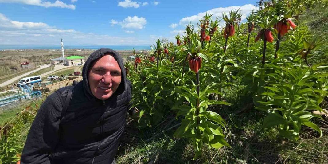 Bahar geldi doğa renklendi: Van ‘Ters laleler’ ile süslendi 5